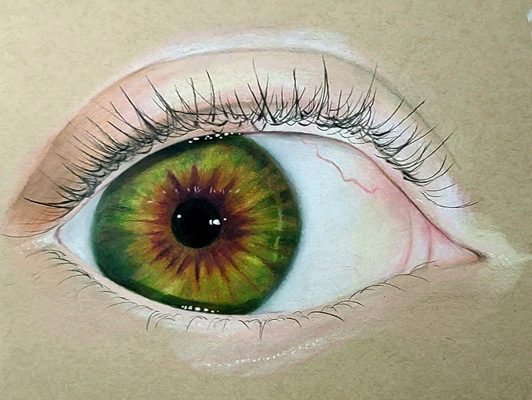 Focus by Renee Drake. Colored Pencil.